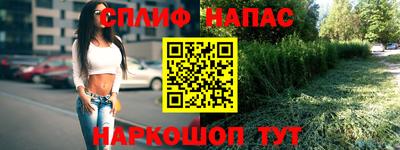 шишки Татарск