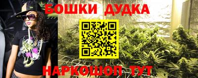 шишки Татарск